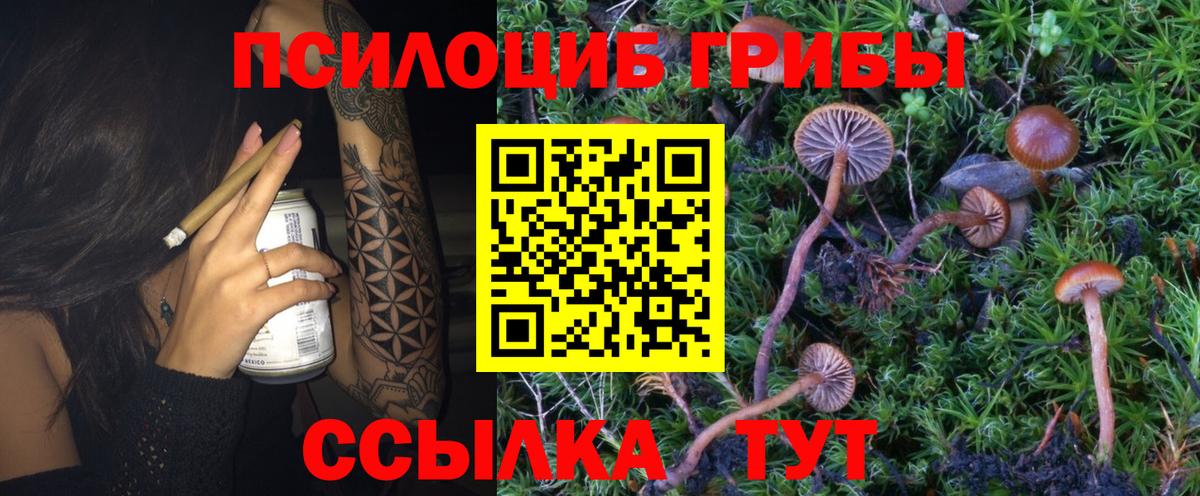 Галлюциногенные грибы мицелий  Галлюциногенные грибы MAGIC MUSHROOMS  Малгобек  Вход с VPN 